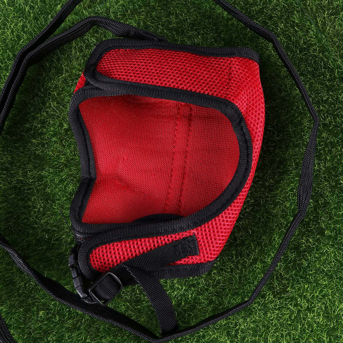 Haustier-Geschirr mit Leine fü – Running Gear Rabbit Bewertung und Preis